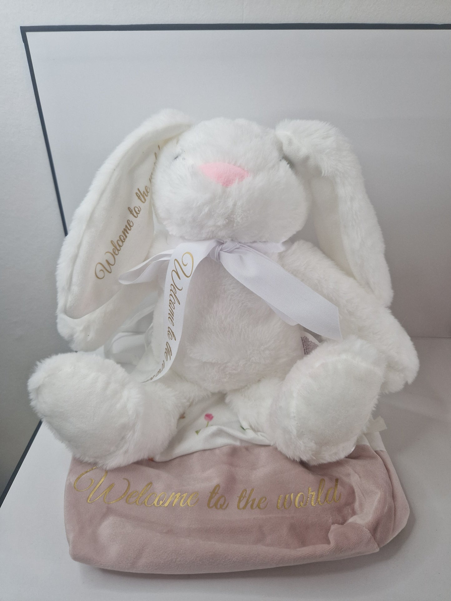 Welcome to the World bunny in a bag