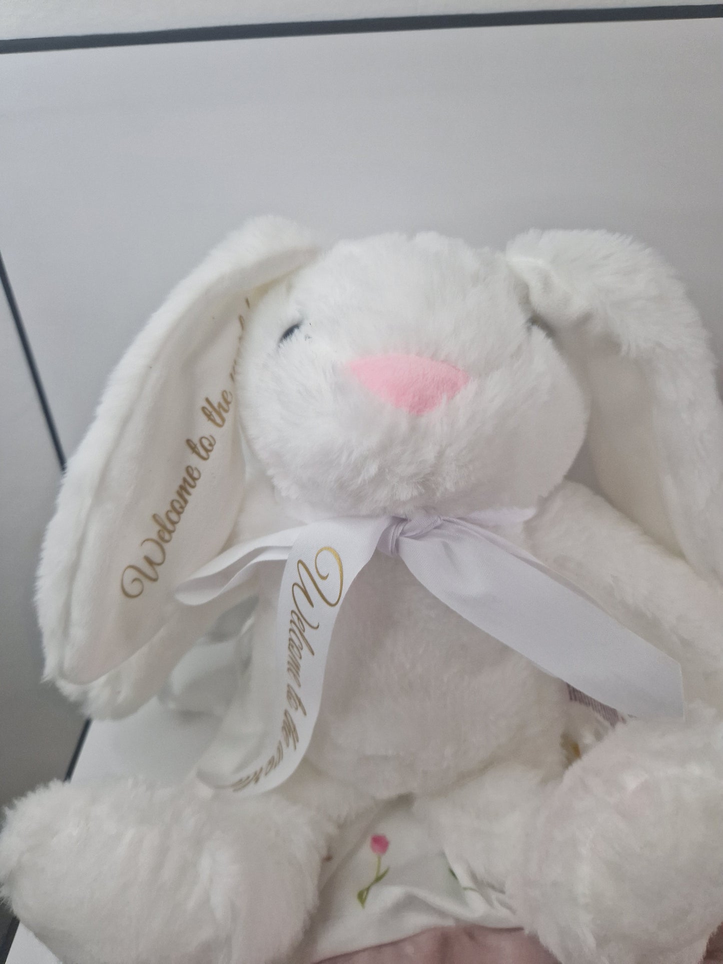 Welcome to the World bunny in a bag