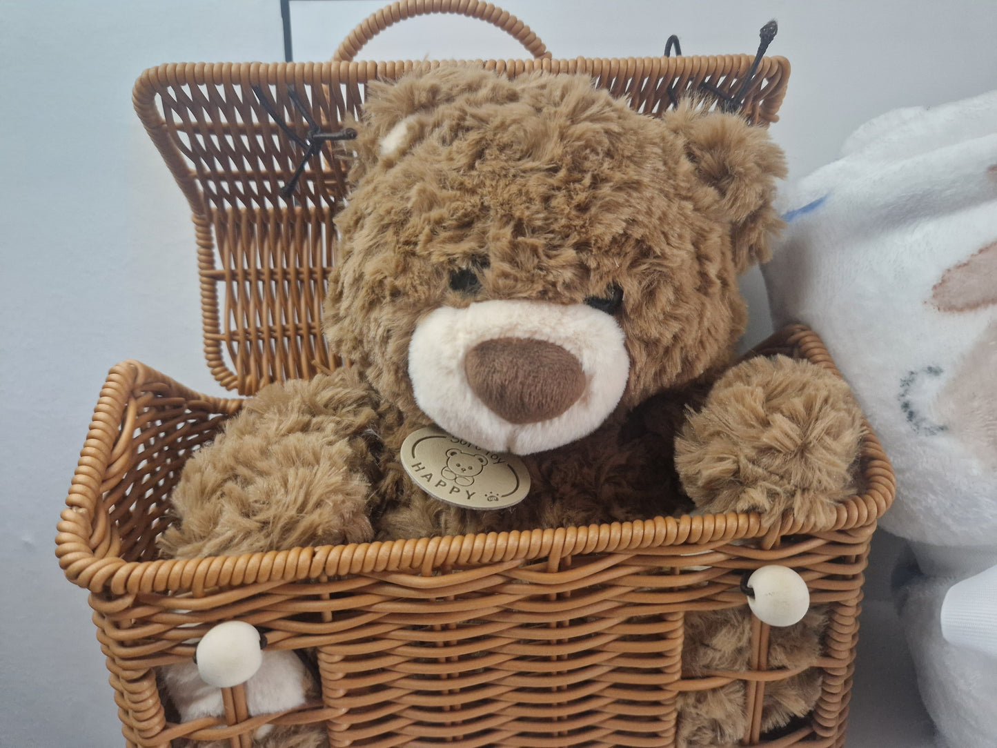Teddy bears picnic hamper