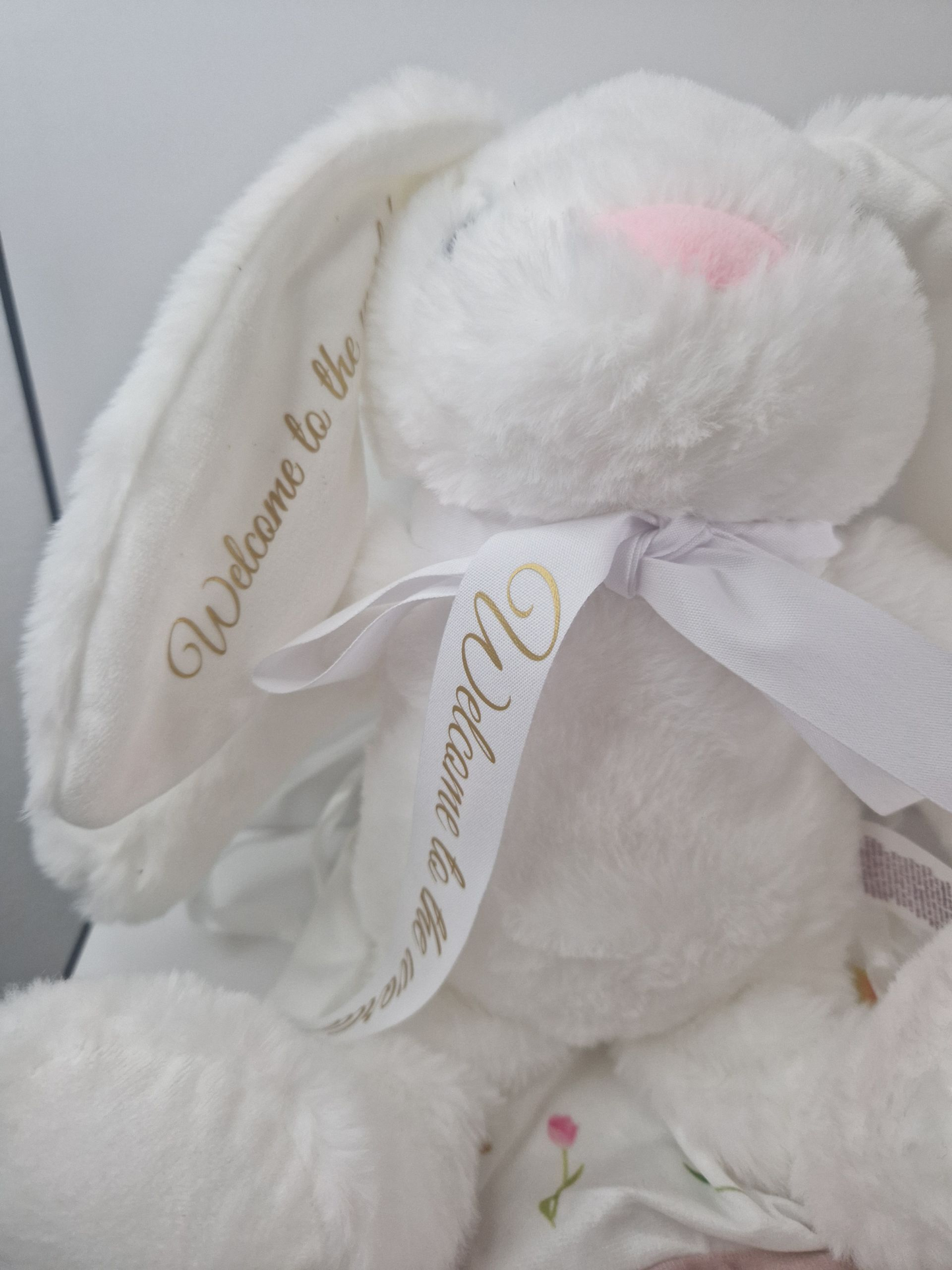 Welcome to the World bunny in a bag