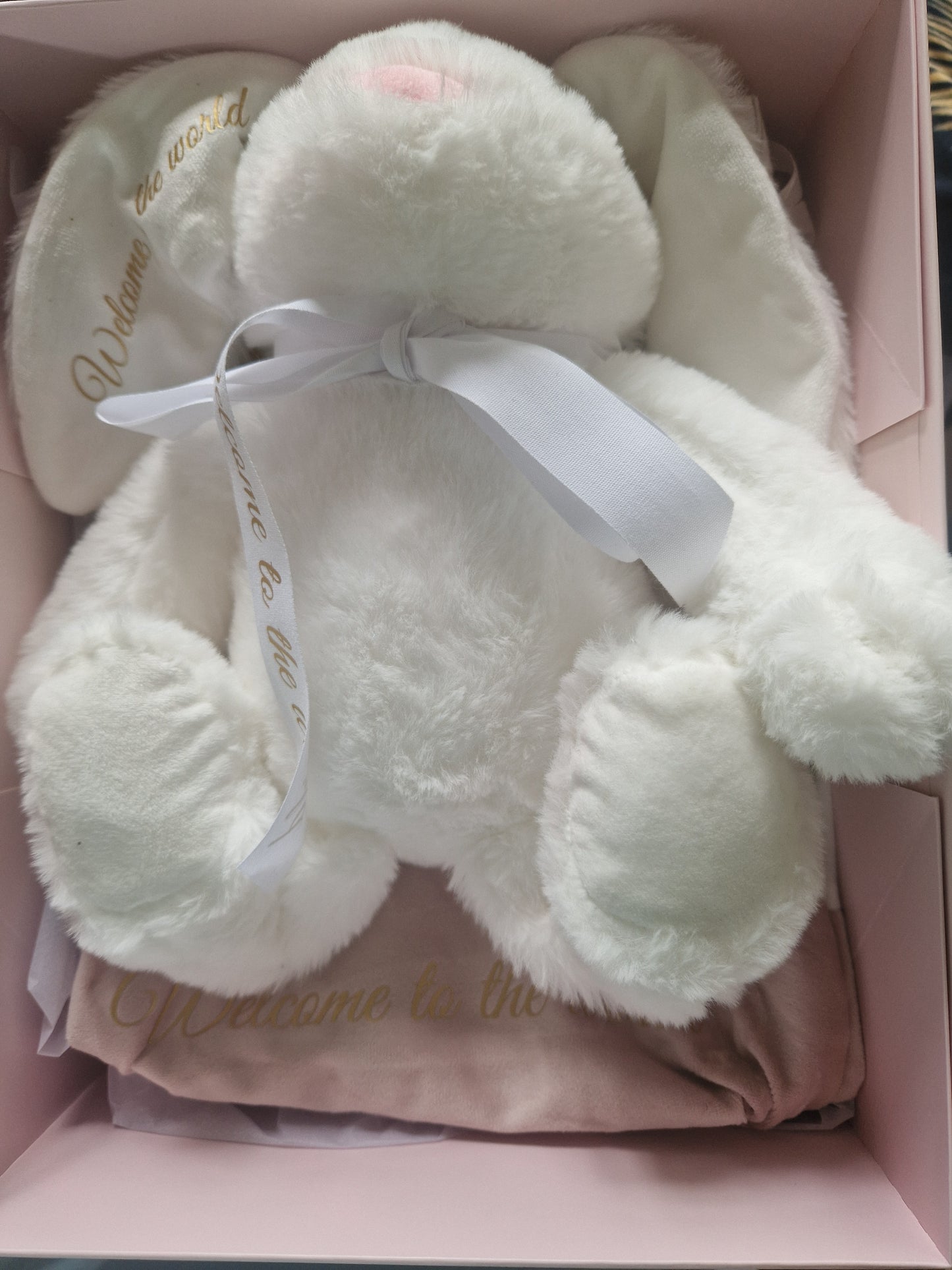 Welcome to the World bunny in a bag