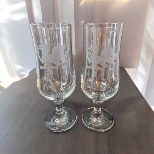 Welsh dragon glasses