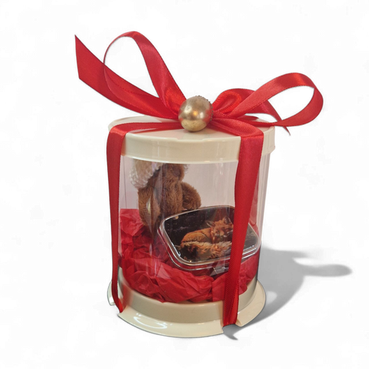 Granny's pill box teddy