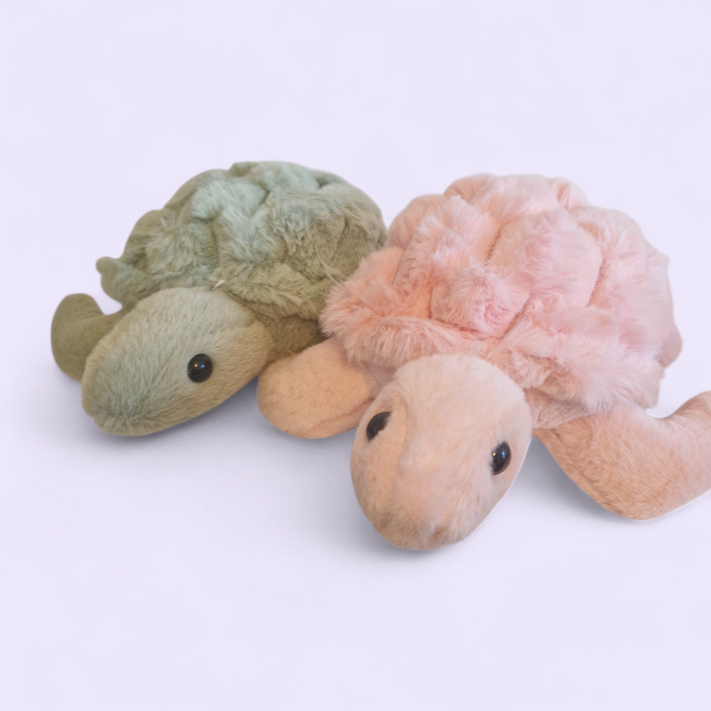 My turtle to keep