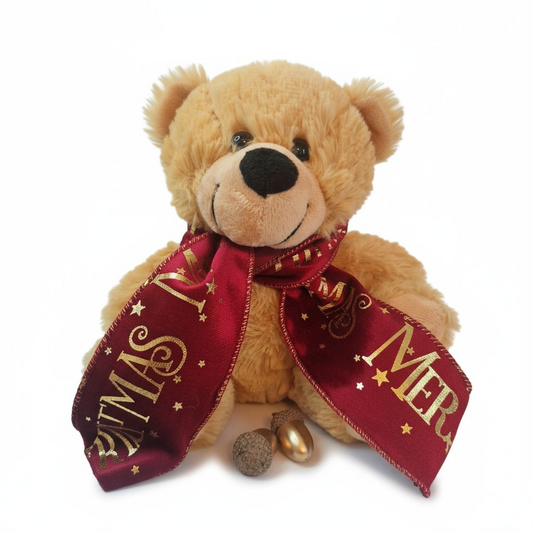 Cuddles for Christmas teddy